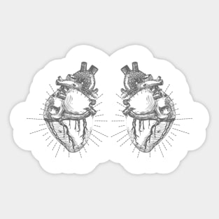 Two Hearts Sticker